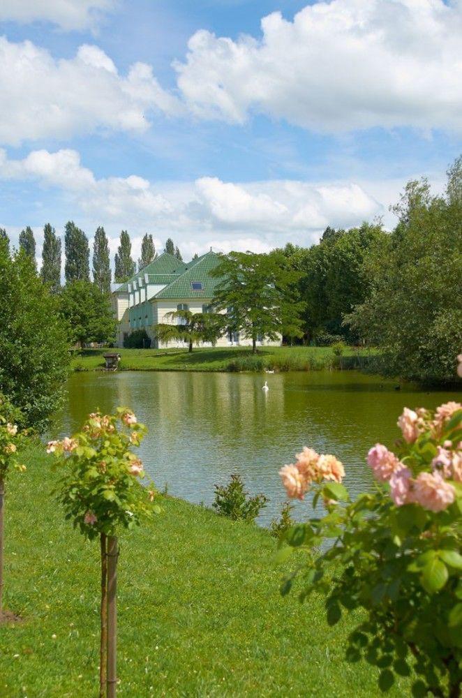 Hotel Restaurant Le Rive Gauche Joigny Exterior foto